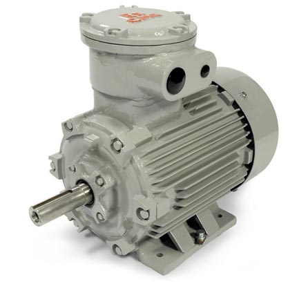CMG PPD Series Electric Motor
